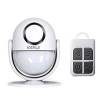 WP-6 (Kit) – Motion Detect Alarm